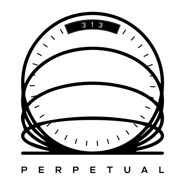 Perpetual 313, LLC